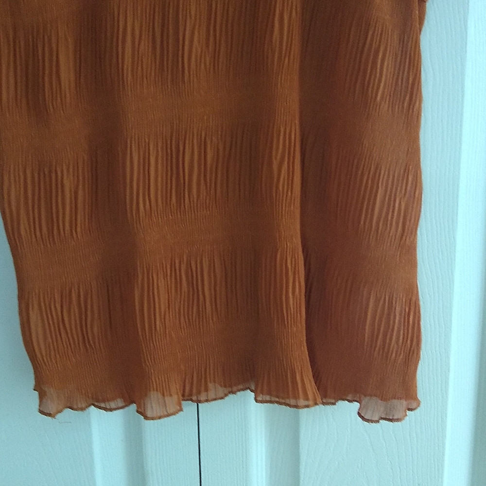 Beautiful Fall shir ruffles shirt top size small - Picture 4 of 8